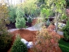 Show Garden 14